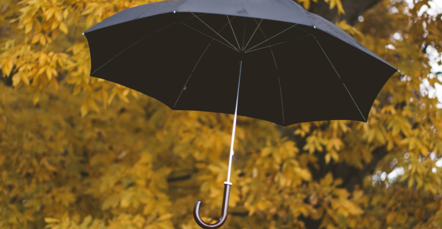 Защита репутации